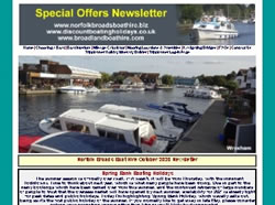November 2020 newsletter screenshot